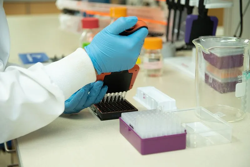 Choosing the Right ChIP Antibody for Your Experiment