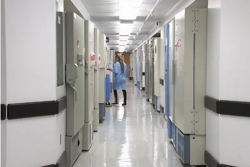 What to Expect in Graduate School