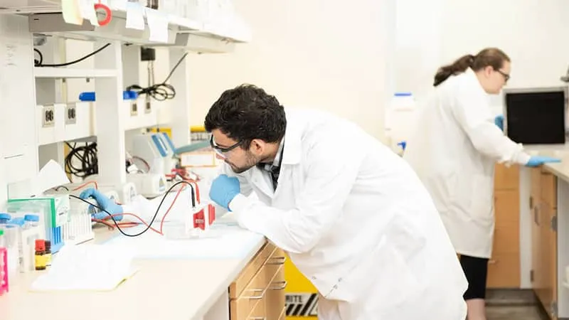 How to select the best histone PTM antibody for CUT&RUN and CUT&Tag