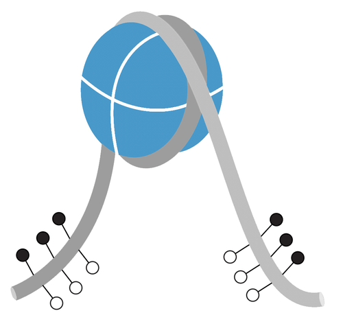 Long_tail_hemi-methyl_DNA__92953 Long_tail_hemi-methyl_DNA__92953