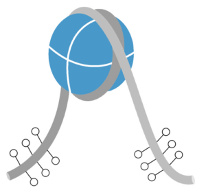 Long_tail_non_methyl_DNA__31800