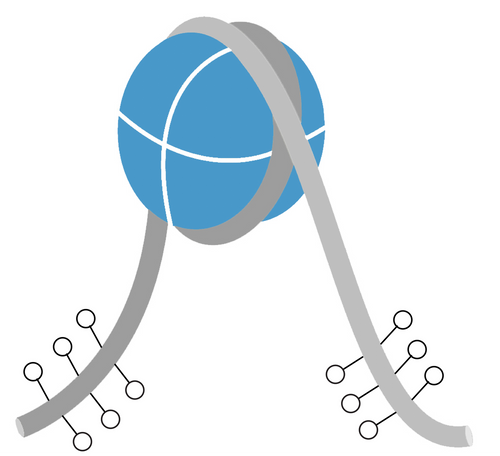 Long_tail_non_methyl_DNA__31800 Long_tail_non_methyl_DNA__31800