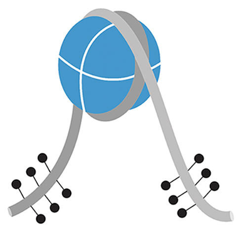 mononucleosomes-recombinant-symmetrically-methylated-199x601-dna-biotinylated__40131 mononucleosomes-recombinant-symmetrically-methylated-199x601-dna-biotinylated__40131