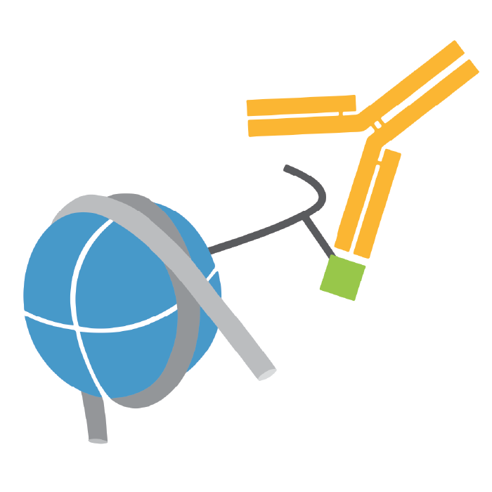 EpiCypher antibodies for histone post-translational modifications (PTMs), validated with defined spike-in controls for CUT&RUN, CUT&Tag, or ChIP-seq.