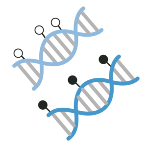 Fragmented_DNA_Controls_Icon_Product_Page__59568
