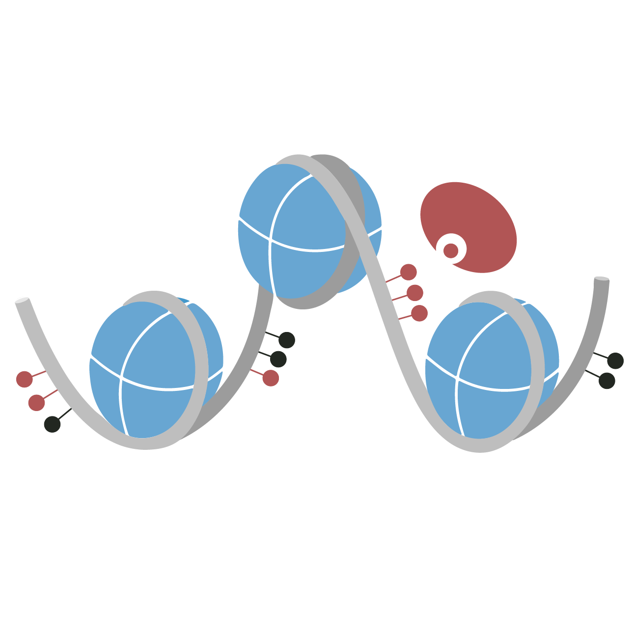 CUTANA™ Hia5 for Fiber-seq