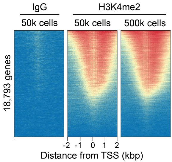 13-0027-genome-wide-enrichment