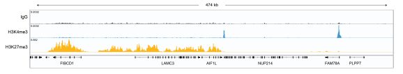 13-0047-cut-and-tag-data-1