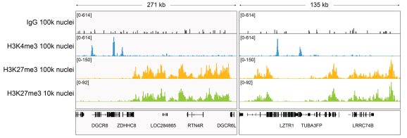 13-0055-cut-and-tag-representative-browser-tracks