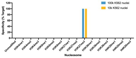 13-0055-cut-and-tag-specificity-analysis