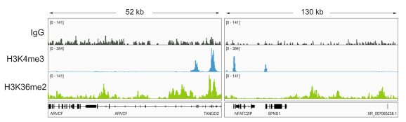 13-0056-cut-and-tag-representative-browser-tracks