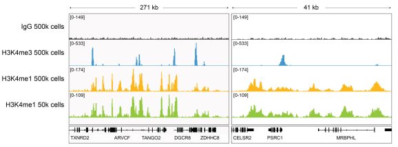13-0057-cut-run-browser-tracks
