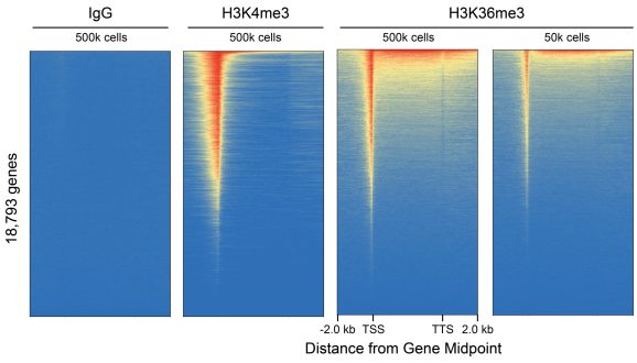 13-0058-genome-wide-enrichment