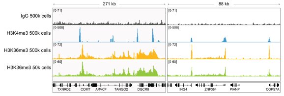 13-0058-representative-browser-tracks