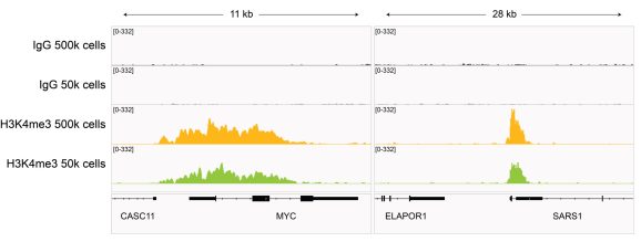 13-0060_browser_tracks_cr