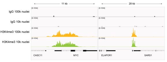 13-0060_browser_tracks_ct