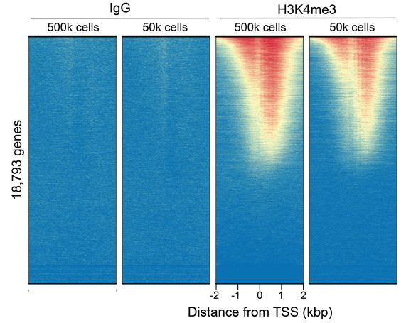 13-0060_genome-wide_enrichment_cr