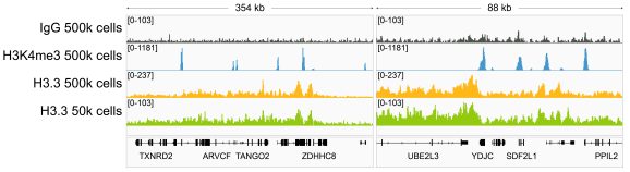 13-0061-cut-and-run-representative-browser-tracks