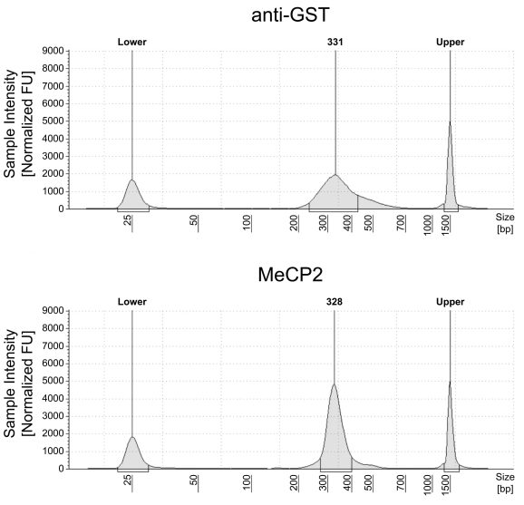 13-0073-dna-fragment-size-distribution-analysis