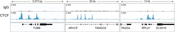 13-2014-representative-browser-tracks
