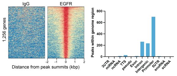 13-2018-egfr-peaks