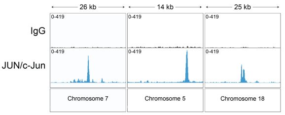 13-2019-representative-browser-tracks