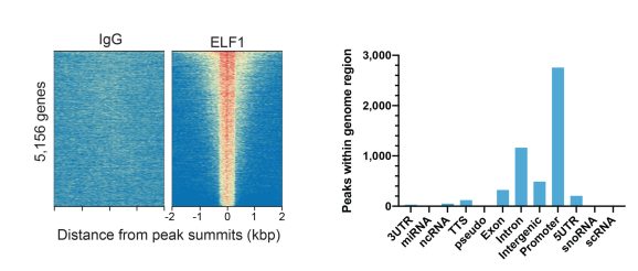 13-2023-elf1-peaks