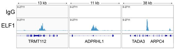 13-2023-representative-browser-tracks