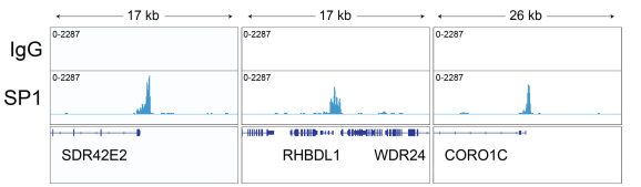 13-2024-representative-browser-tracks
