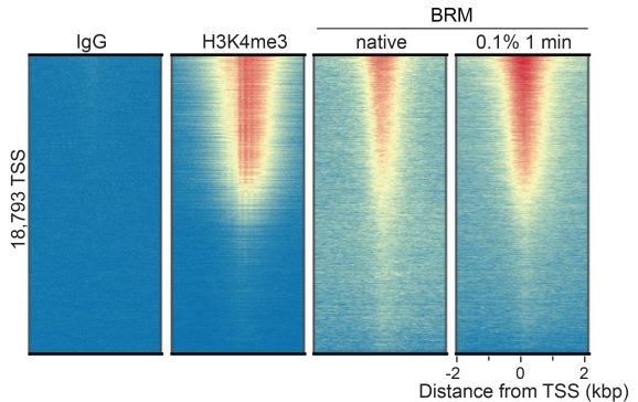13_2006_Heatmap
