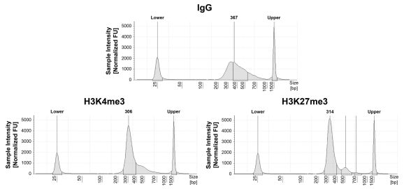 14-1048-dna-fragment-size-distribution-test