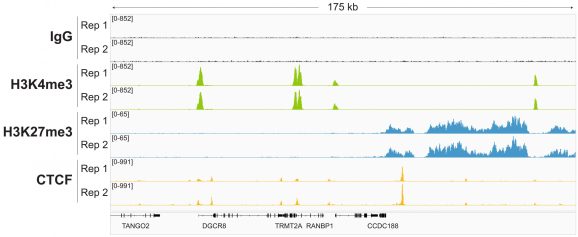 14-1048-representative-gene-browser-tracks-test