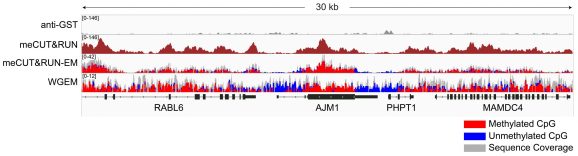 14-1060-24-gene-browser-tracks