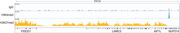 15-1017-cut-tag-data