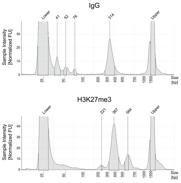 15-1017-size-distribution