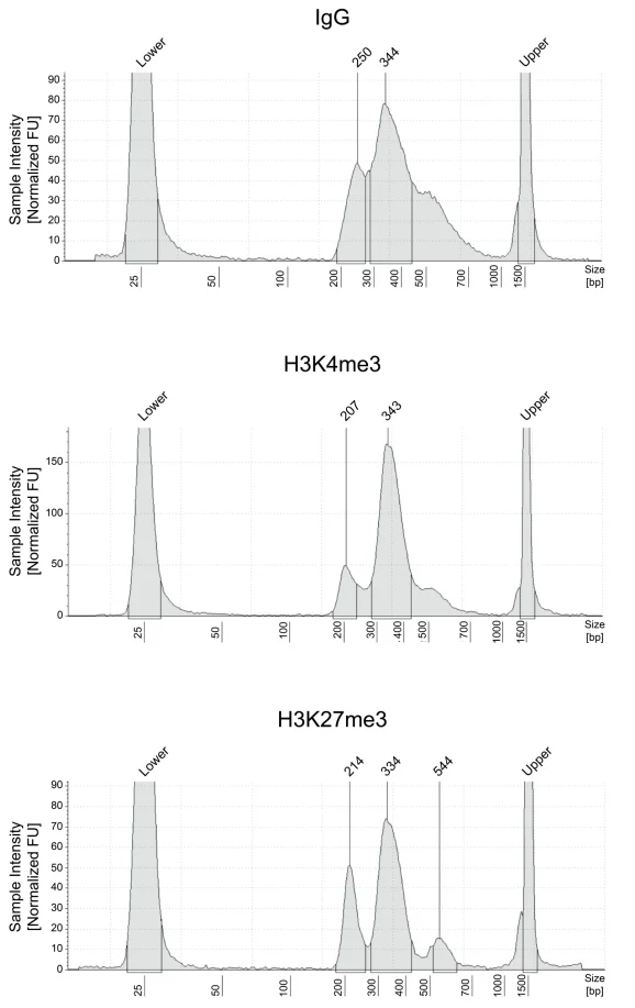 15-1026-size-distribution