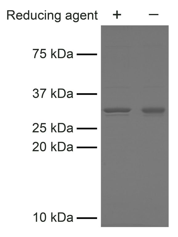 15-1032 Figure 1