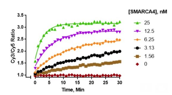 15_1014_ATP_dep_chromatin_remodeling