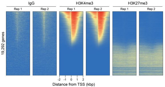 21-1003-genome-wide-heatmap