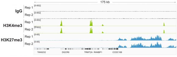 21-1003-representative-gene-browser-tracks