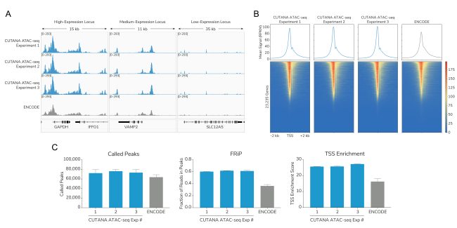 ATAC-seq Figure 1