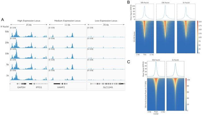 ATAC-seq Figure 2
