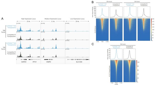 ATAC-seq Figure 3