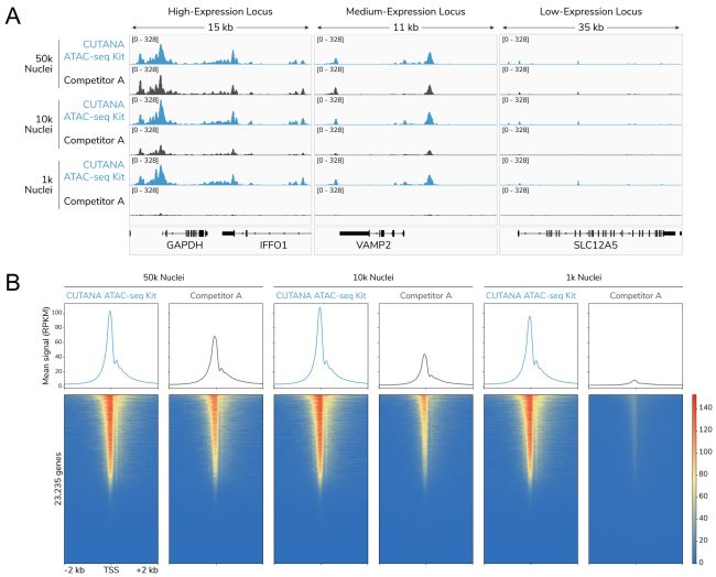 ATAC-seq Figure 4