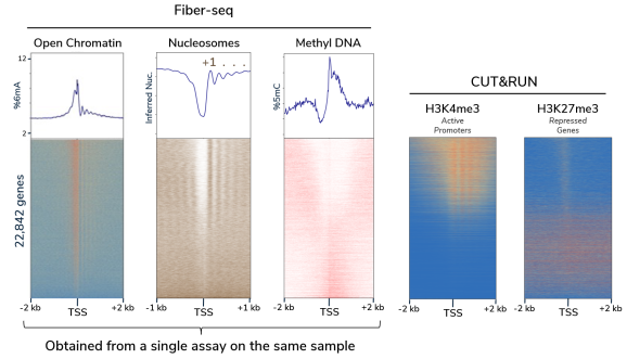 Fiber-seq Kit Figure 4