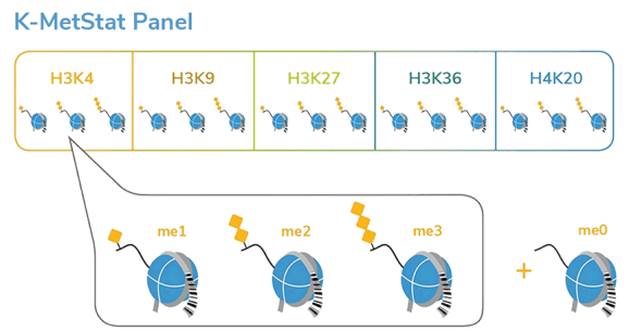 K-MetStat_Graphic